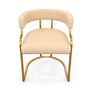 Customer Salon Chair / Nude LS10