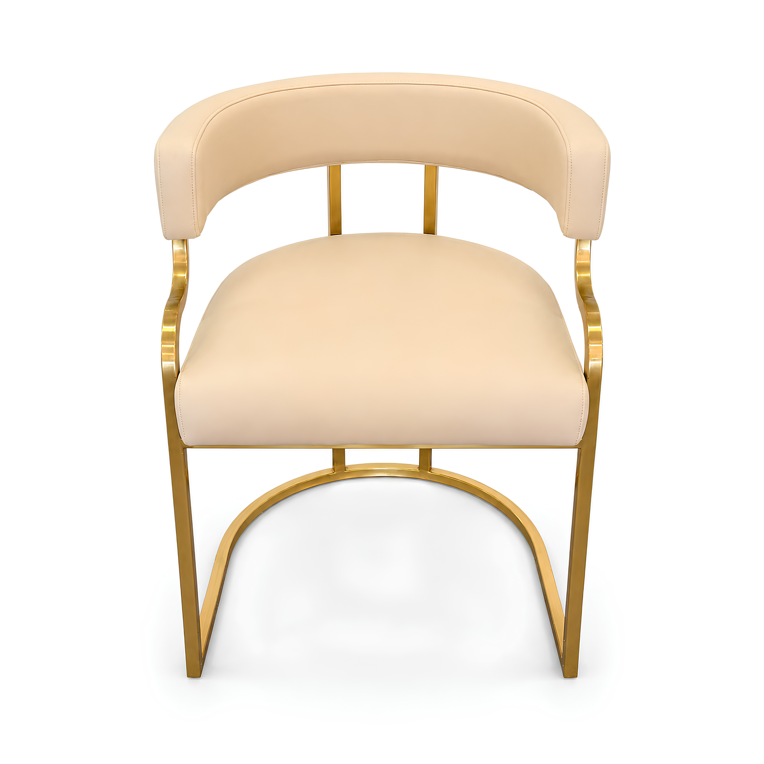 Customer Salon Chair / Nude LS10