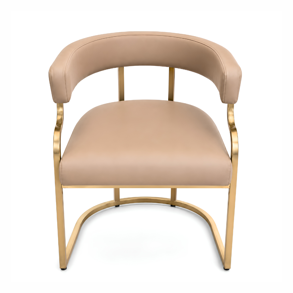 Customer Salon Chair / Nude LS10